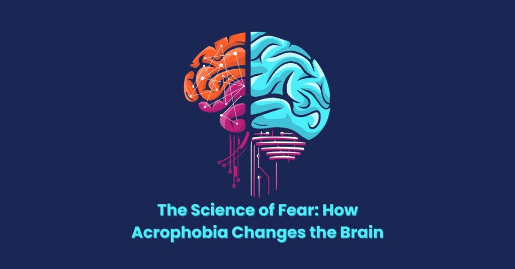 The Science of Fear: How Acrophobia Changes the Brain Dynamics