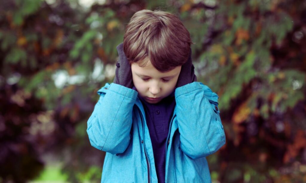 Is Autism a Personality Disorder